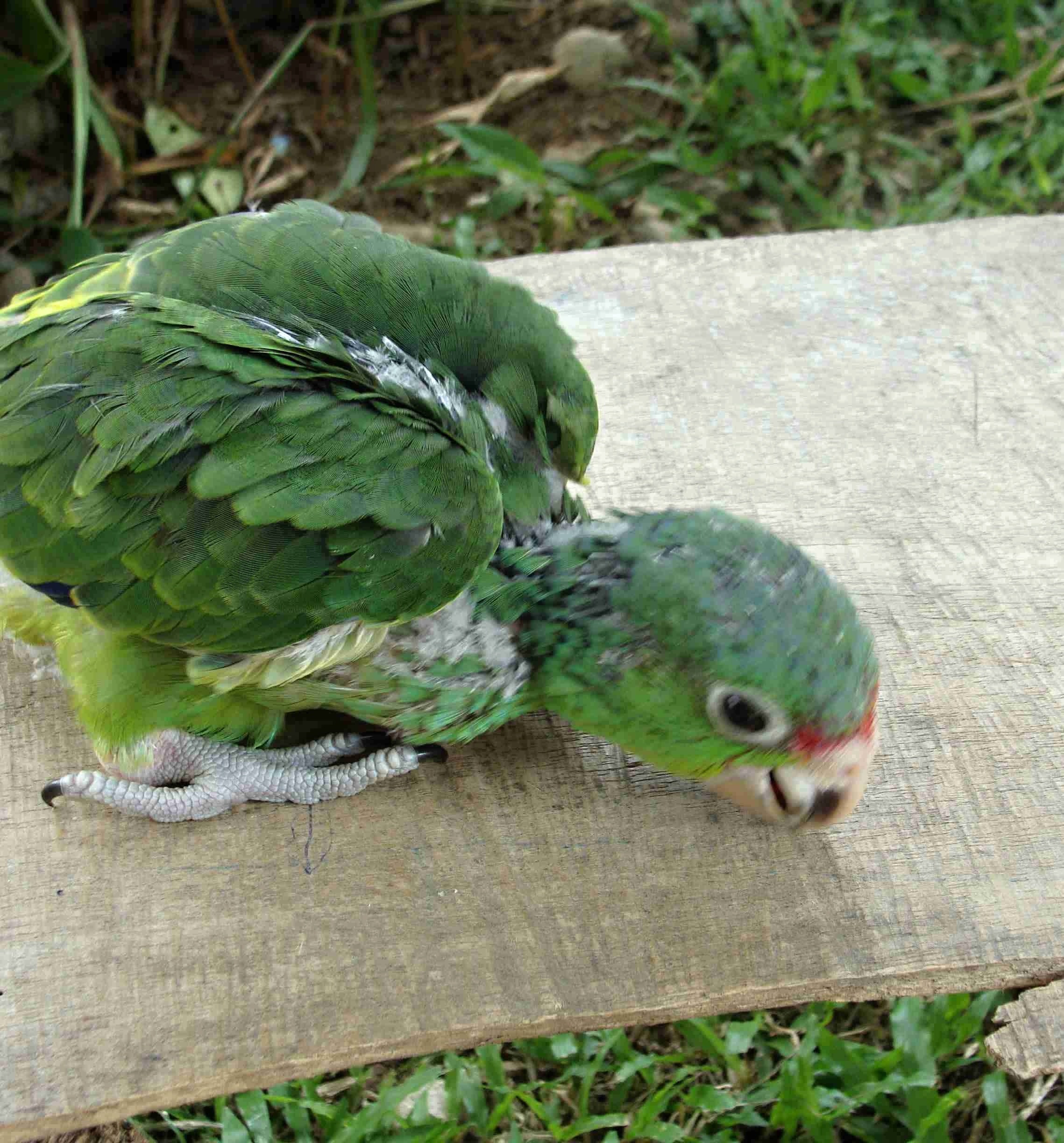 Foto 8